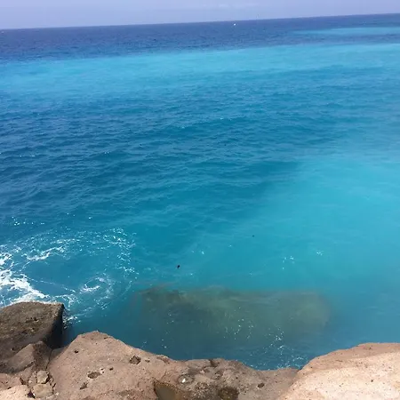 公寓 Tenerife Colina Blanca Adeje