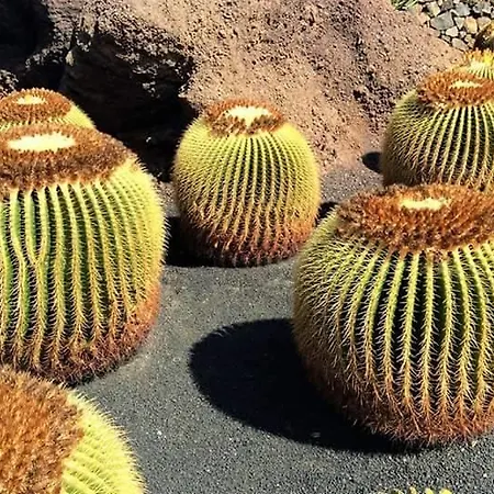 Tenerife Colina Blanca Апартаменты *