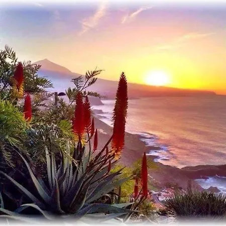 Tenerife Colina Blanca 公寓 Adeje