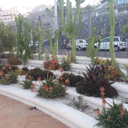 Apartment Tenerife Colina Blanca *
